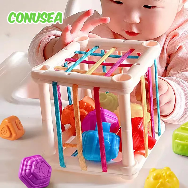 Baby Sensory Development Learning Educational Toys - My Baby Lounge
